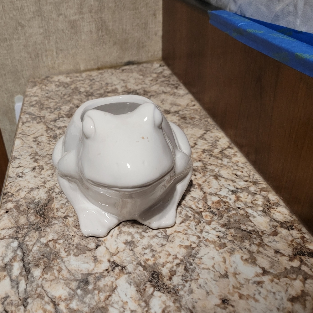 White Frog planter